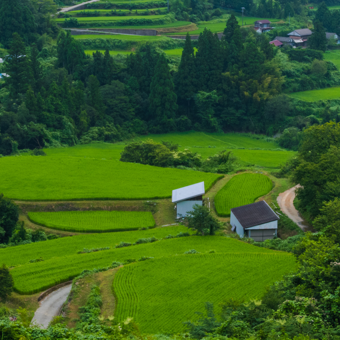 本山町