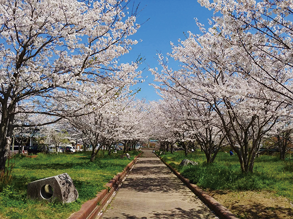 枝川公園