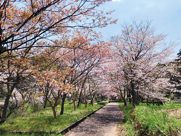 平山親水公園