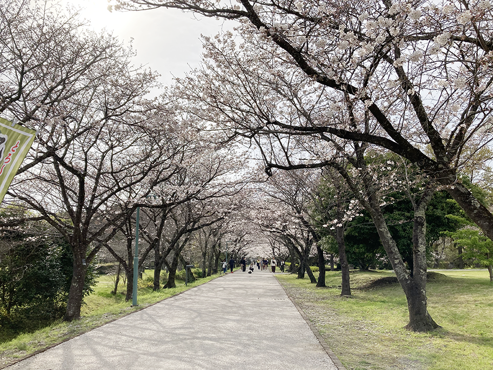 鏡野公園