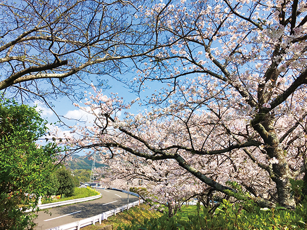 比島交通公園