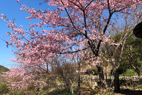 牧野公園