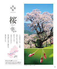 仁淀川町