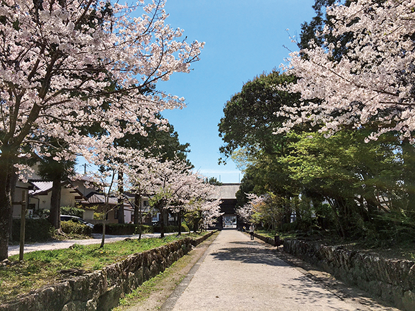 土佐神社