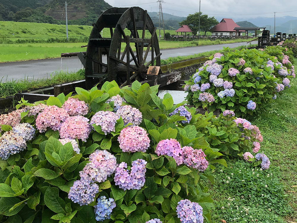 安並水車の里