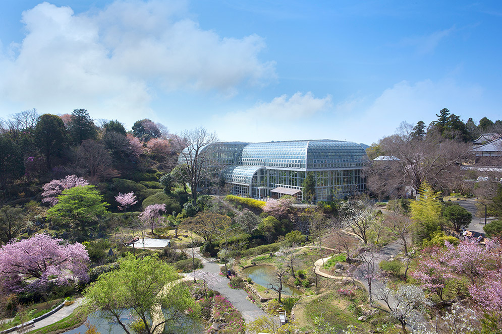 高知県立牧野植物園HP