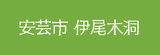 安芸市　伊尾木洞