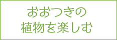 大月町おおつきの植物を楽しむ