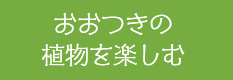 大月町おおつきの植物を楽しむ