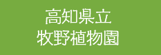 高知県立牧野植物園