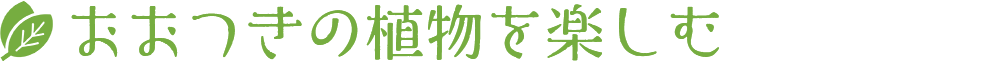 おおつきの植物を楽しむ