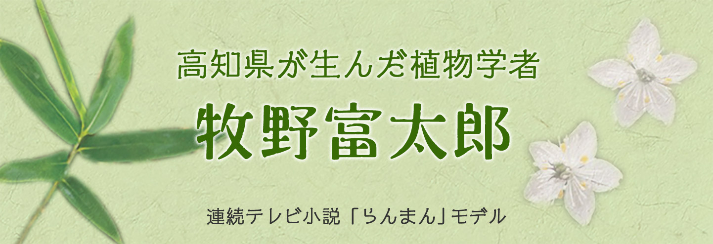 高知県が生んだ植物学者　牧野富太郎　連続テレビ小説「らんまん」モデル