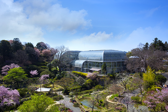 高知県立牧野植物園