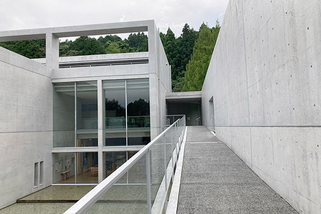 越知町立横倉山自然の森博物館